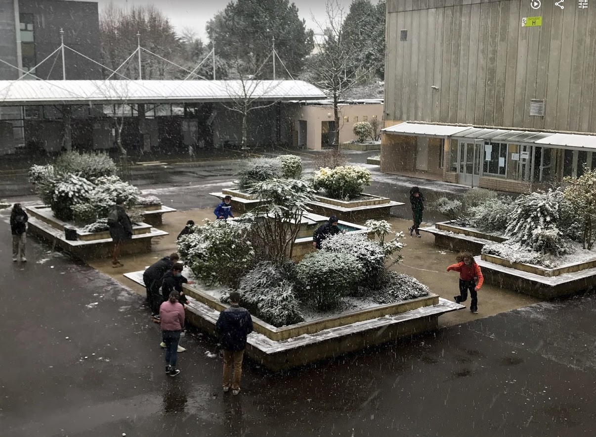 Sacrés internes sous la neige